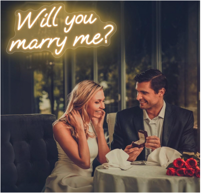 Will You Marry Me LED Neon Sign