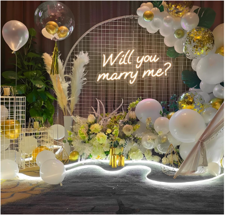 Will You Marry Me LED Neon Sign