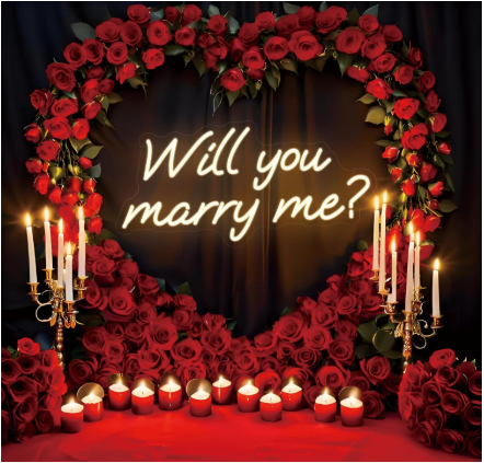 Will You Marry Me LED Neon Sign