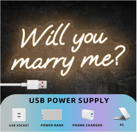 Will You Marry Me LED Neon Sign